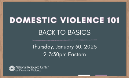 Domestic Violence 101: Back to Basics