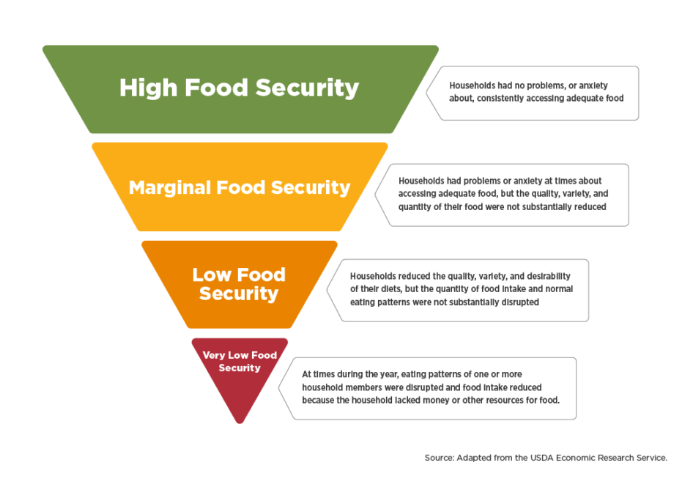 FoodInsecurityPyramid.png