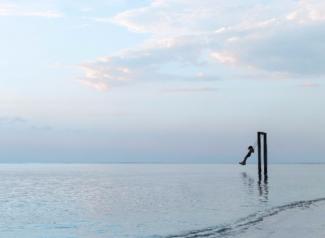 beach swing