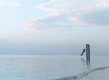 beach swing