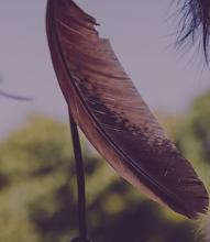 feather